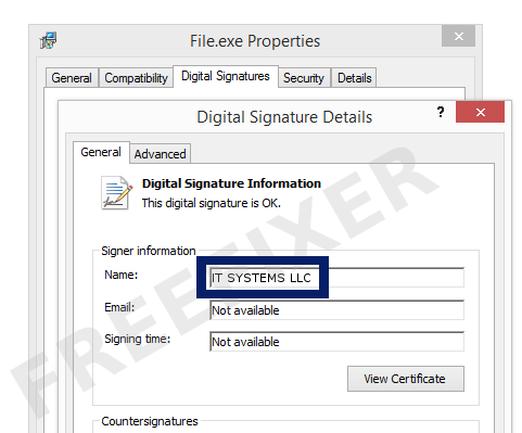 Screenshot of the IT SYSTEMS LLC certificate